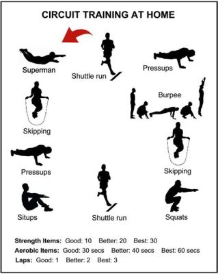 which of the following statements best describes circuit training? Circuit training is an effective method for enhancing cardiovascular fitness and muscle endurance simultaneously.